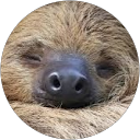 Sand Digger profile picture